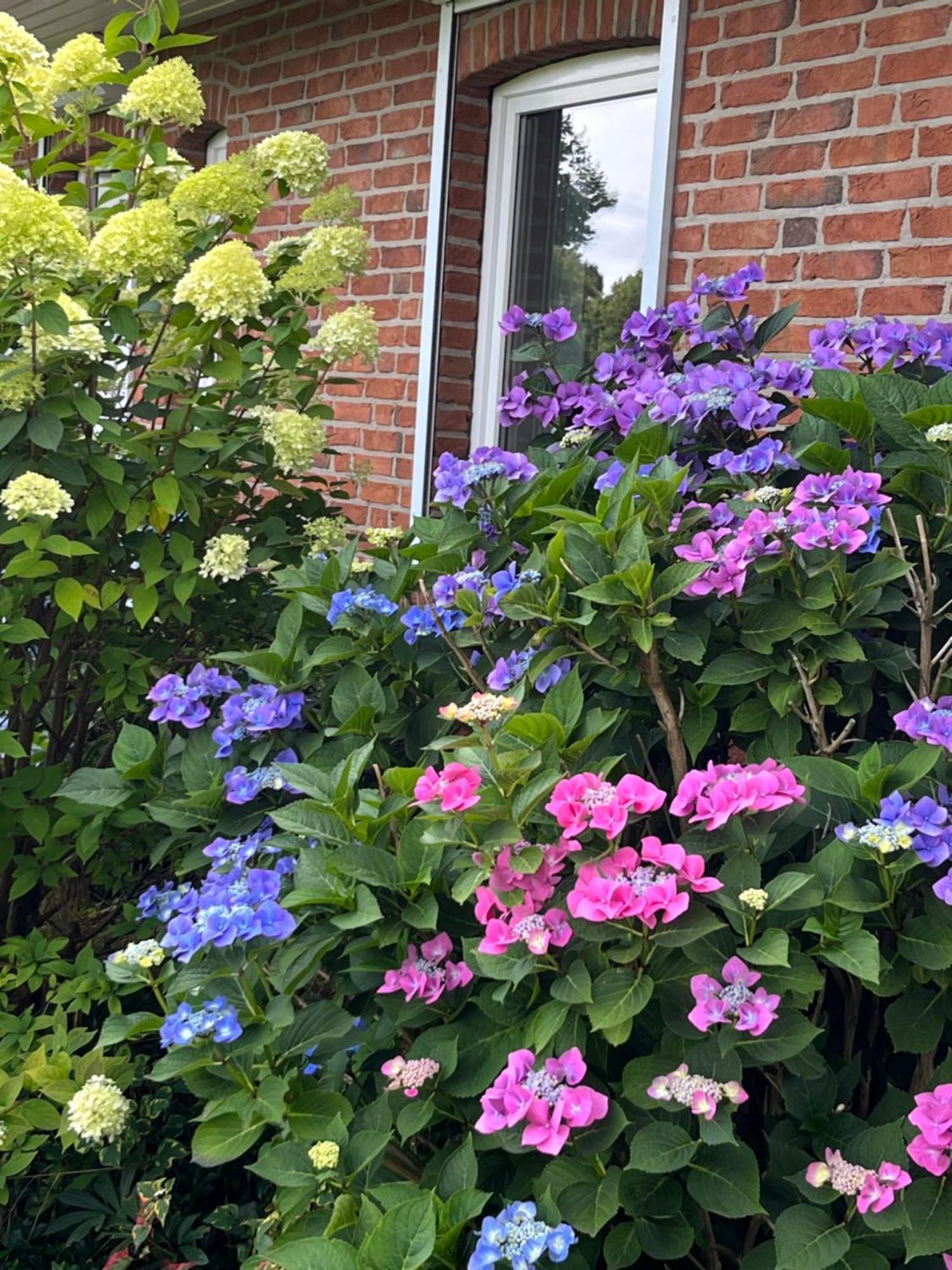 Gartenzimmer Zwischen Den Meeren Ladelund Εξωτερικό φωτογραφία