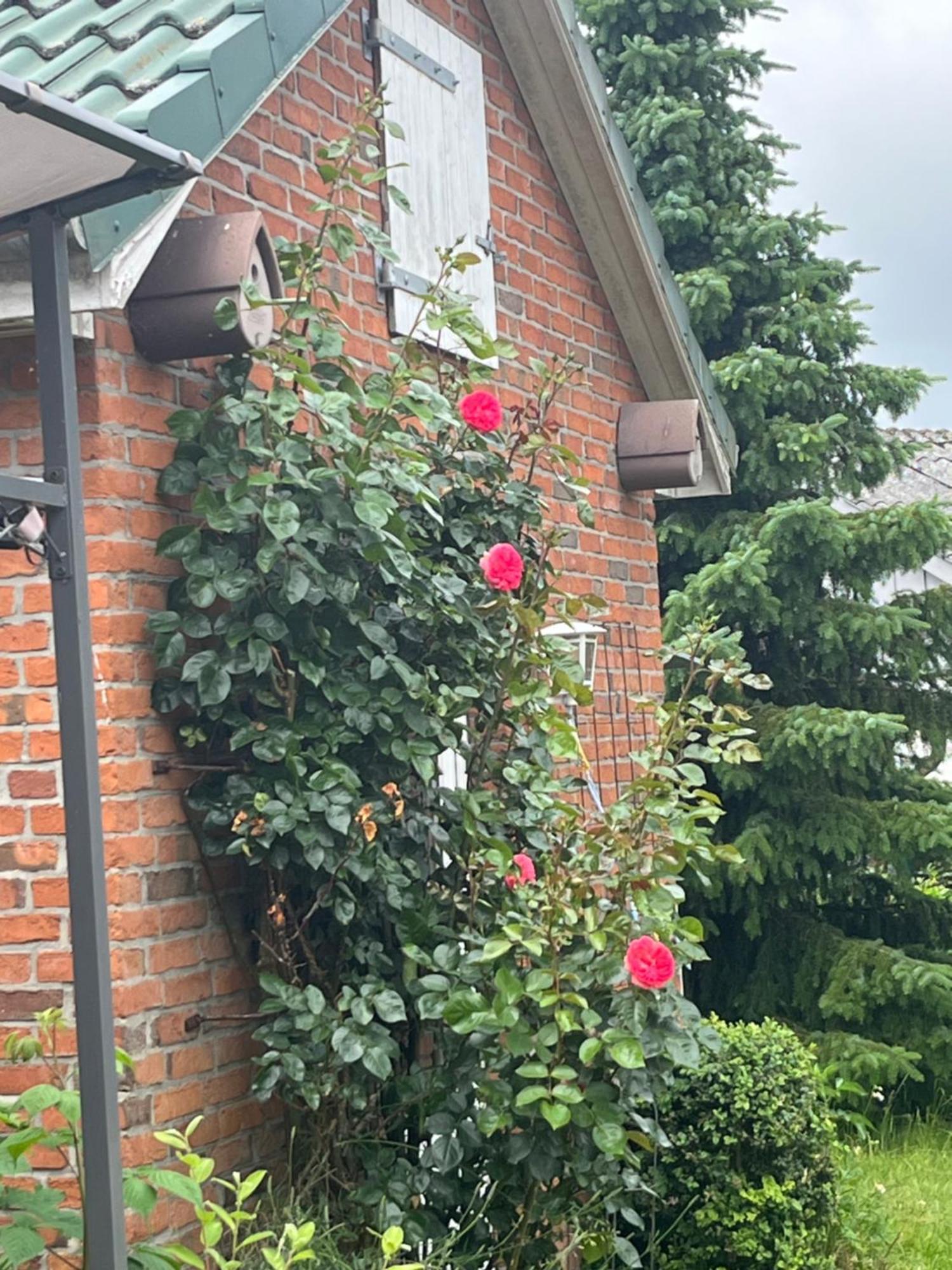 Gartenzimmer Zwischen Den Meeren Ladelund Εξωτερικό φωτογραφία