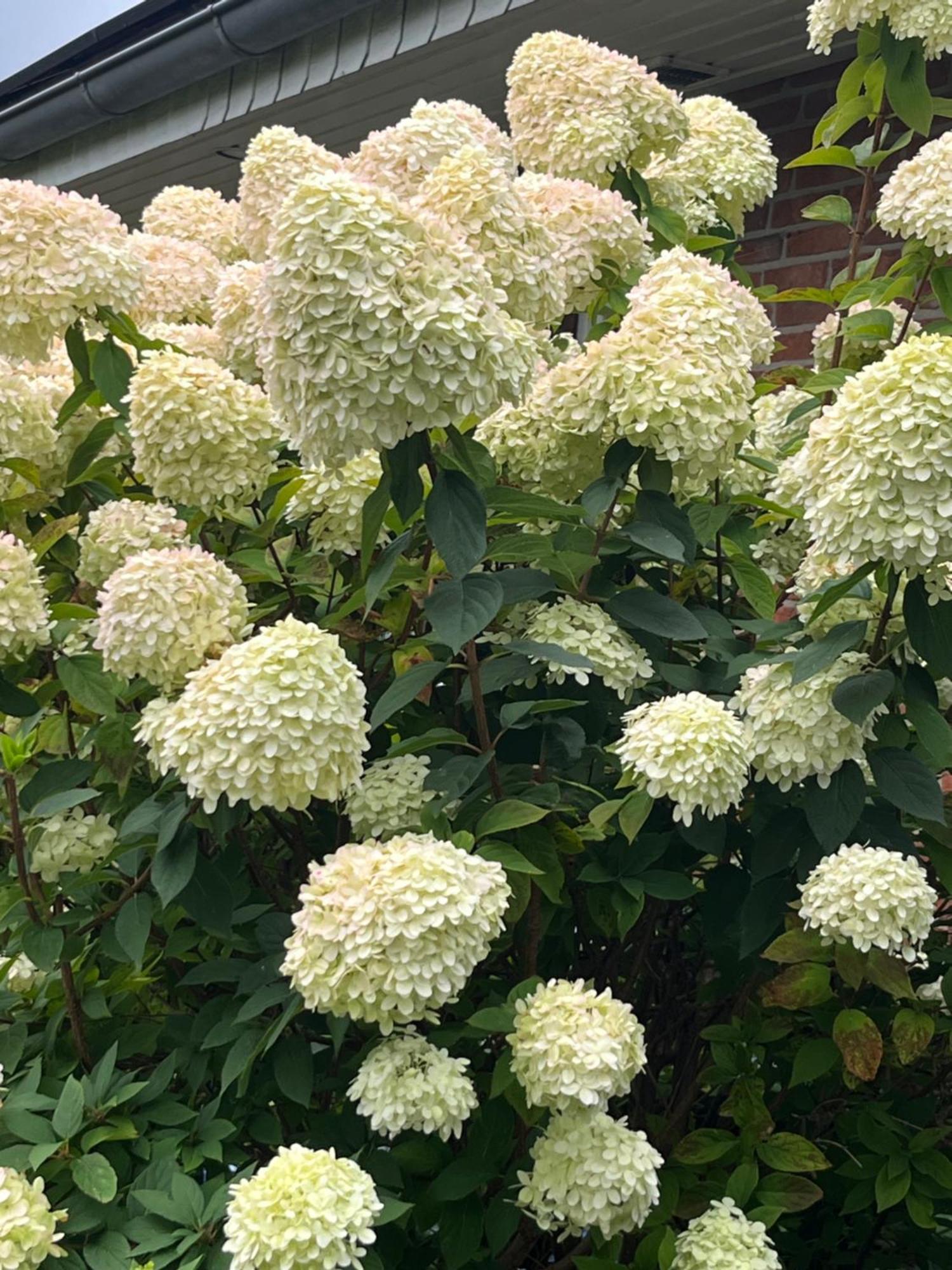 Gartenzimmer Zwischen Den Meeren Ladelund Εξωτερικό φωτογραφία